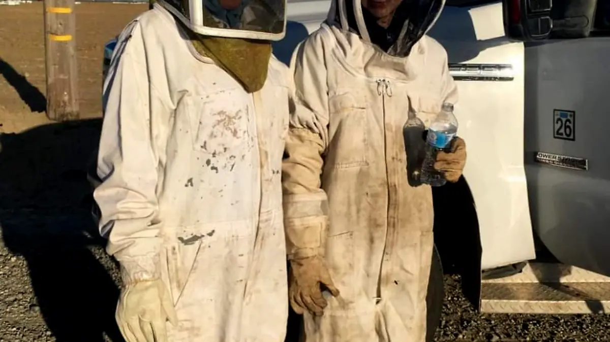 Desde-Estados-Unidos