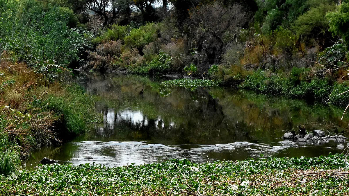 Agua (2) okis
