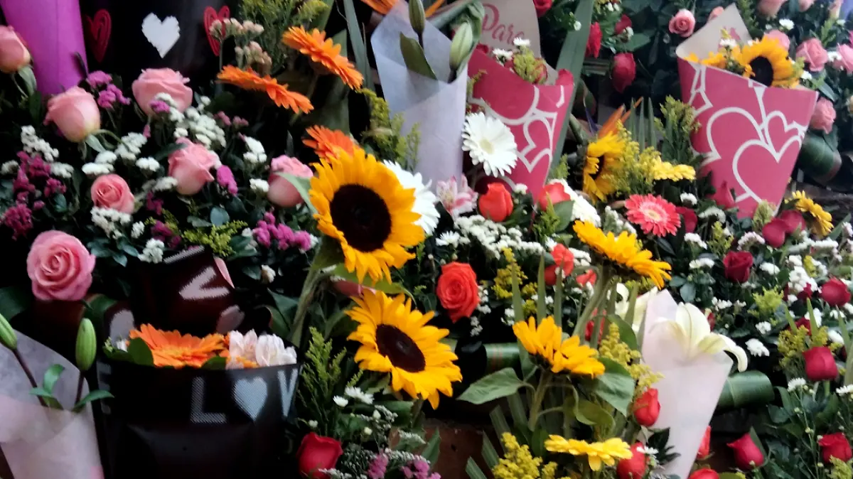 rosas okis