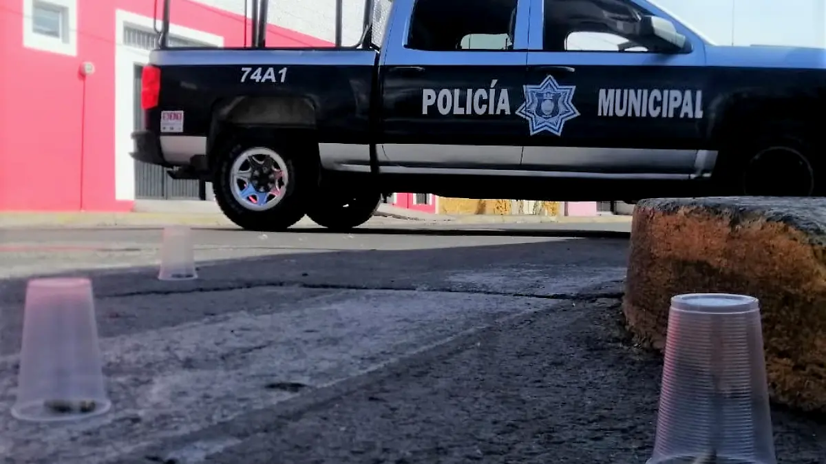 seguridad (2)