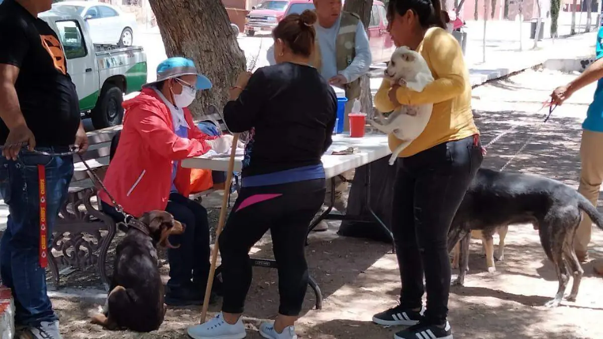 vacunas (3) ok