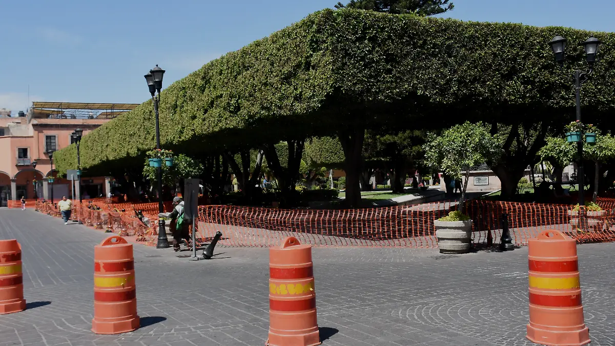 quitaran  cerco sanitario y bancas seguiran igual (6)