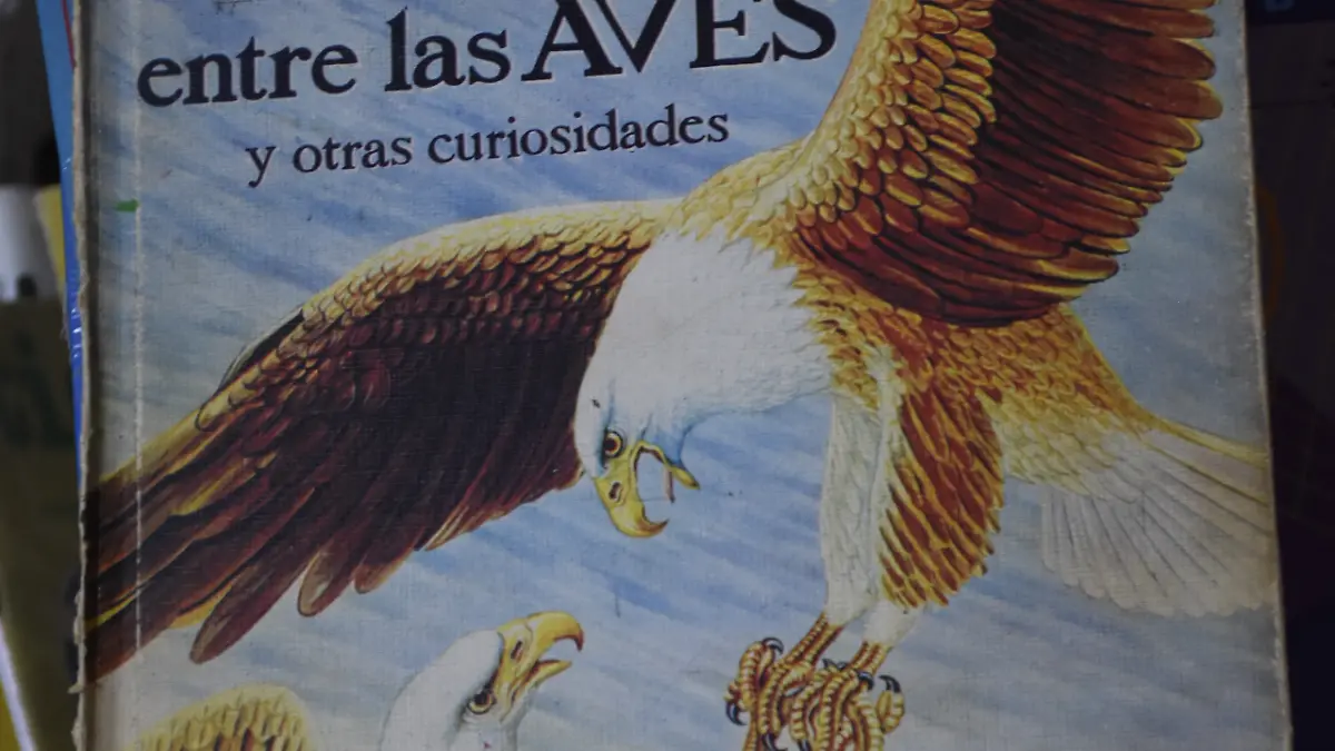 Lo-más-solicitado ok