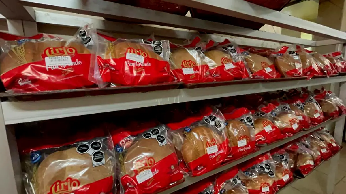 pan de acambaro (1) ok