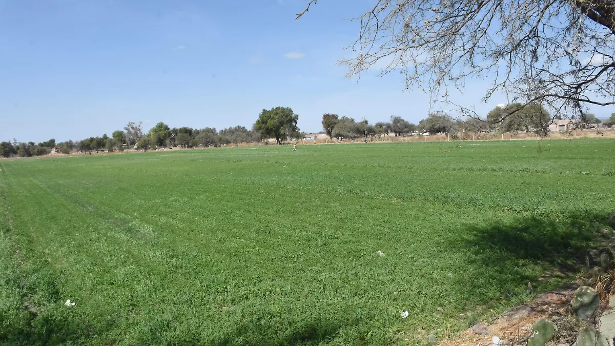 San Miguel Octopan (11)