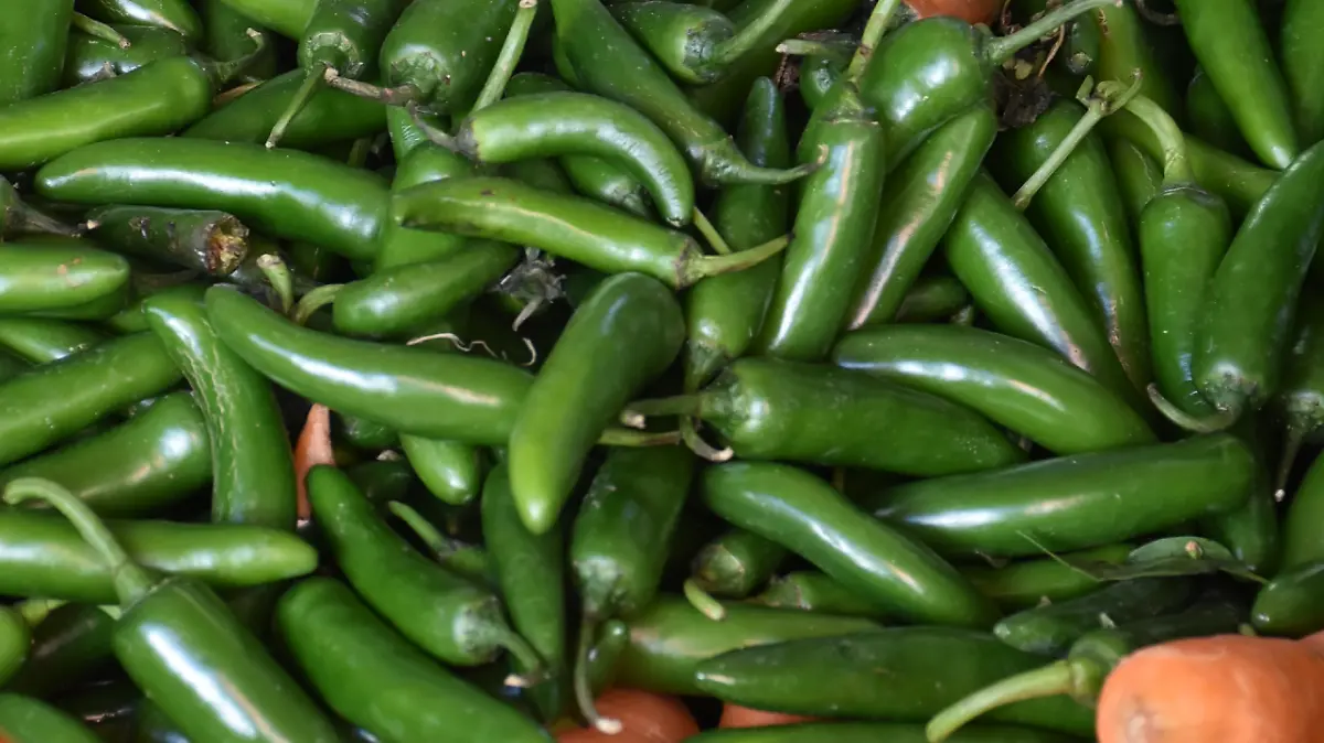 Alcanza-chile-serrano