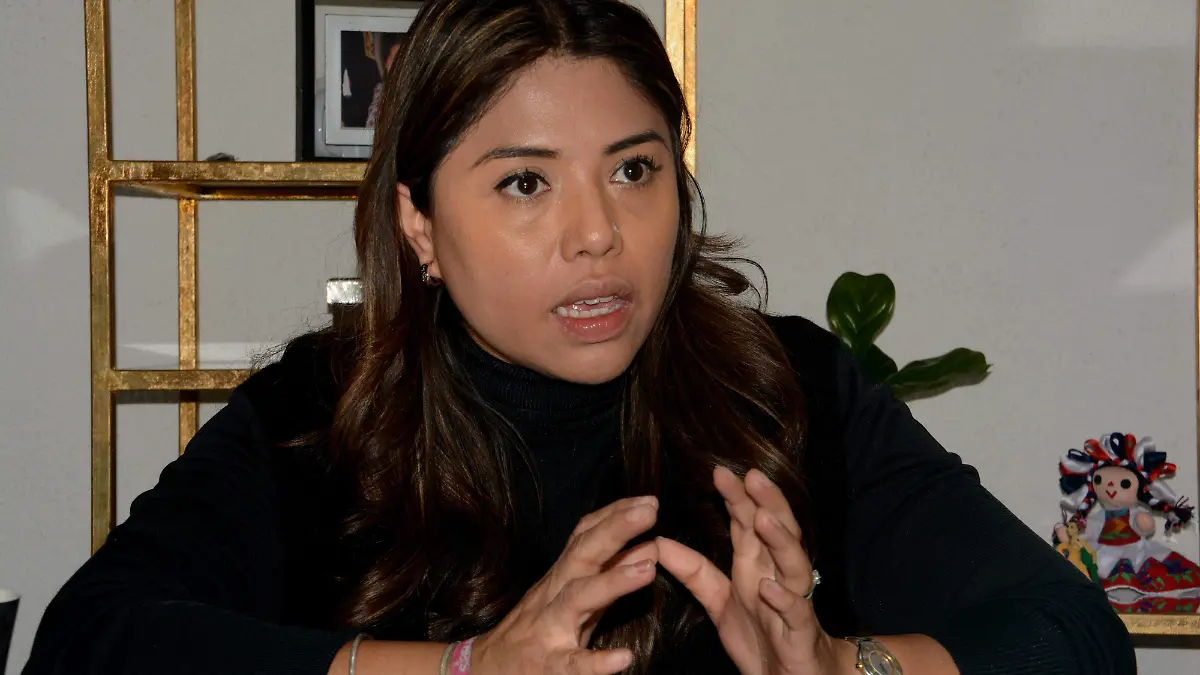 diputada federal (5) ok