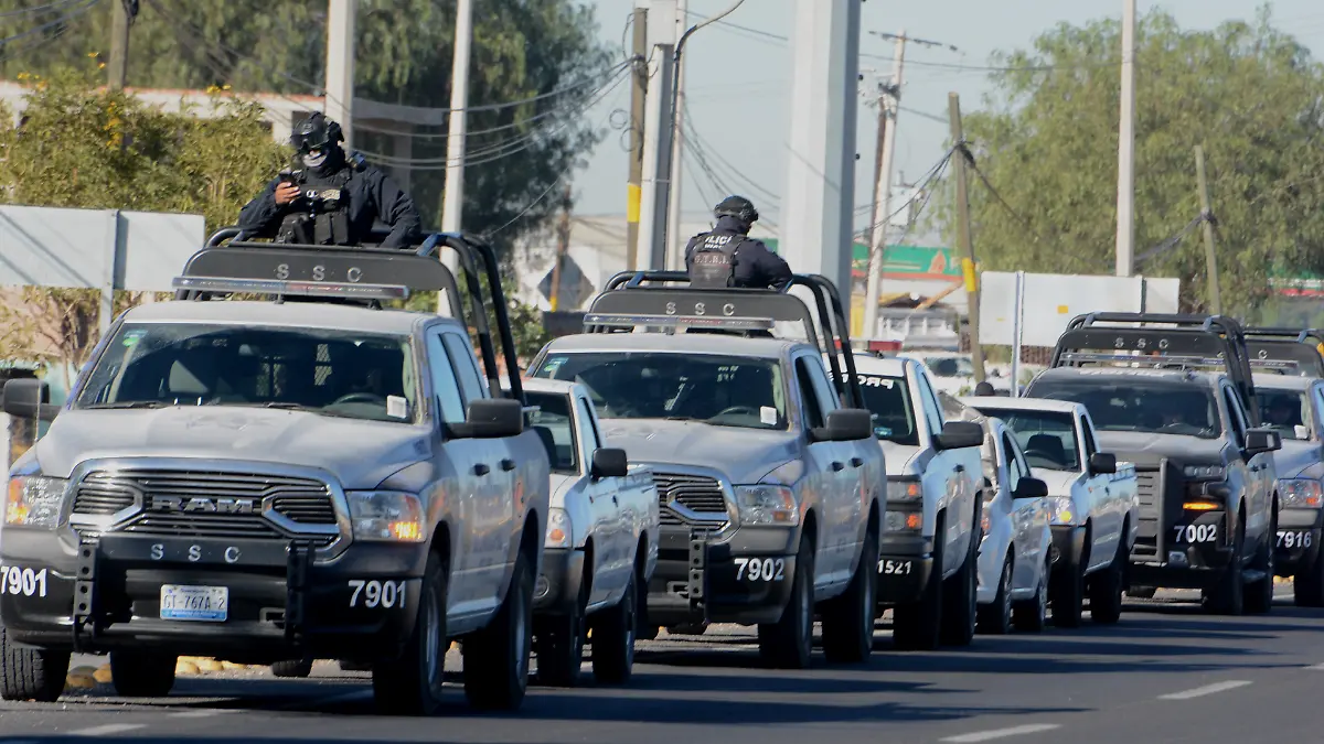 polis (1)