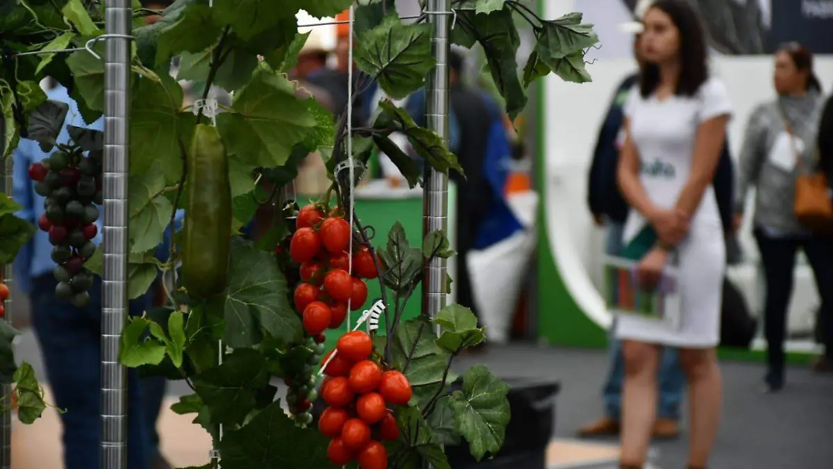 WhatsApp Image 2020-11-06 at 7.28.48 PM