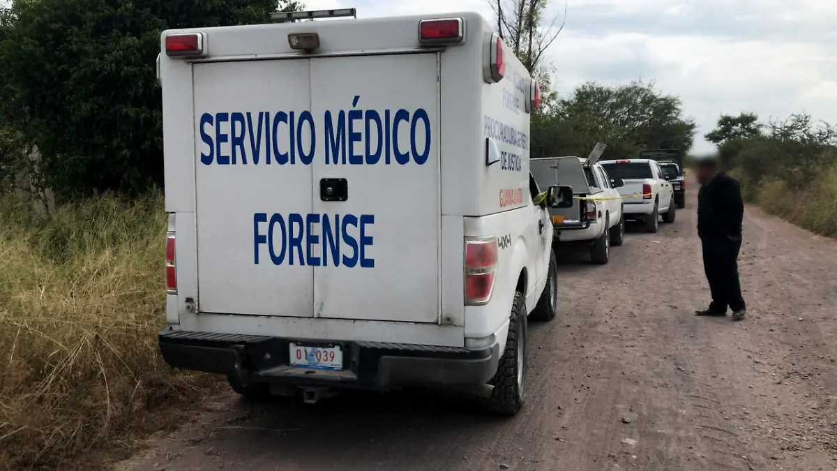 WhatsApp Image 2021-09-17 at 3.44.32 PM