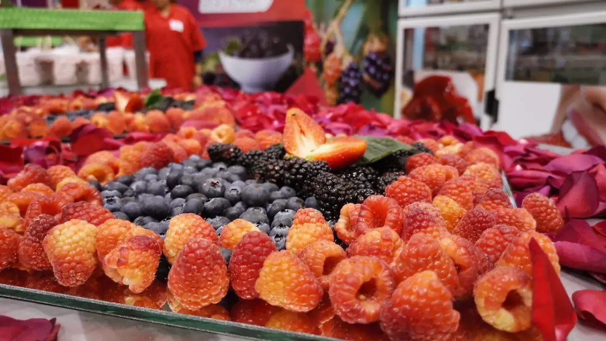 WhatsApp Image 2021-10-20 at 6.10.53 PM