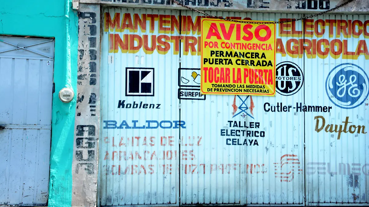 negocios (2) ok