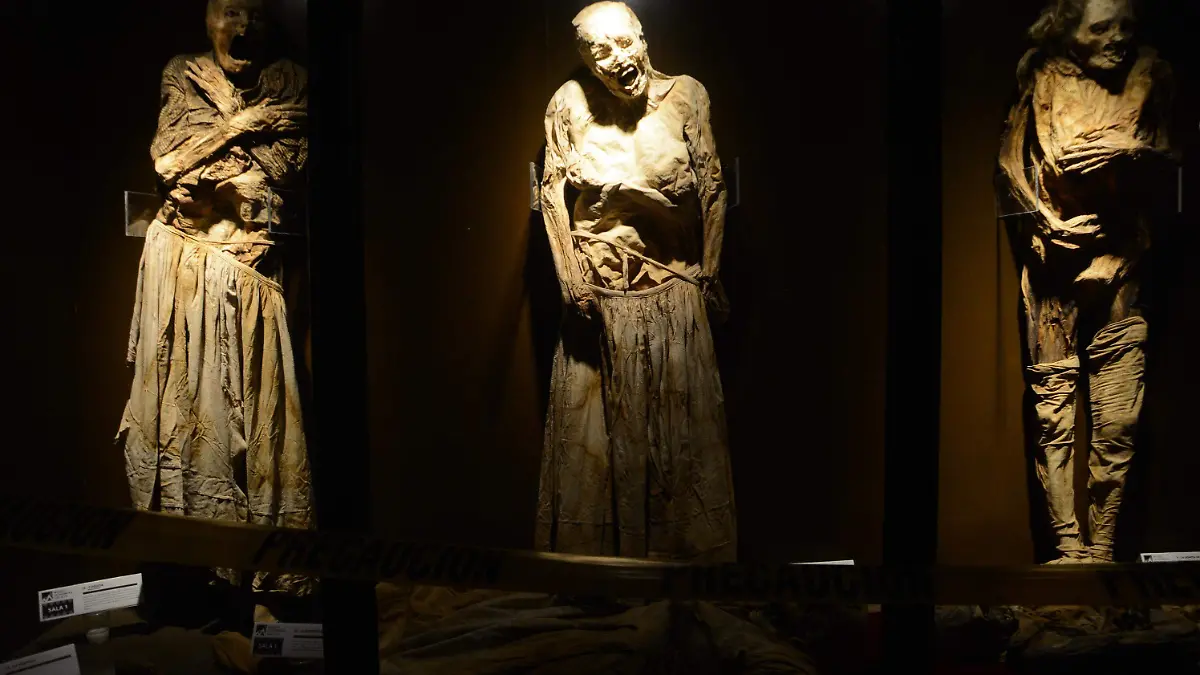 museo (5)