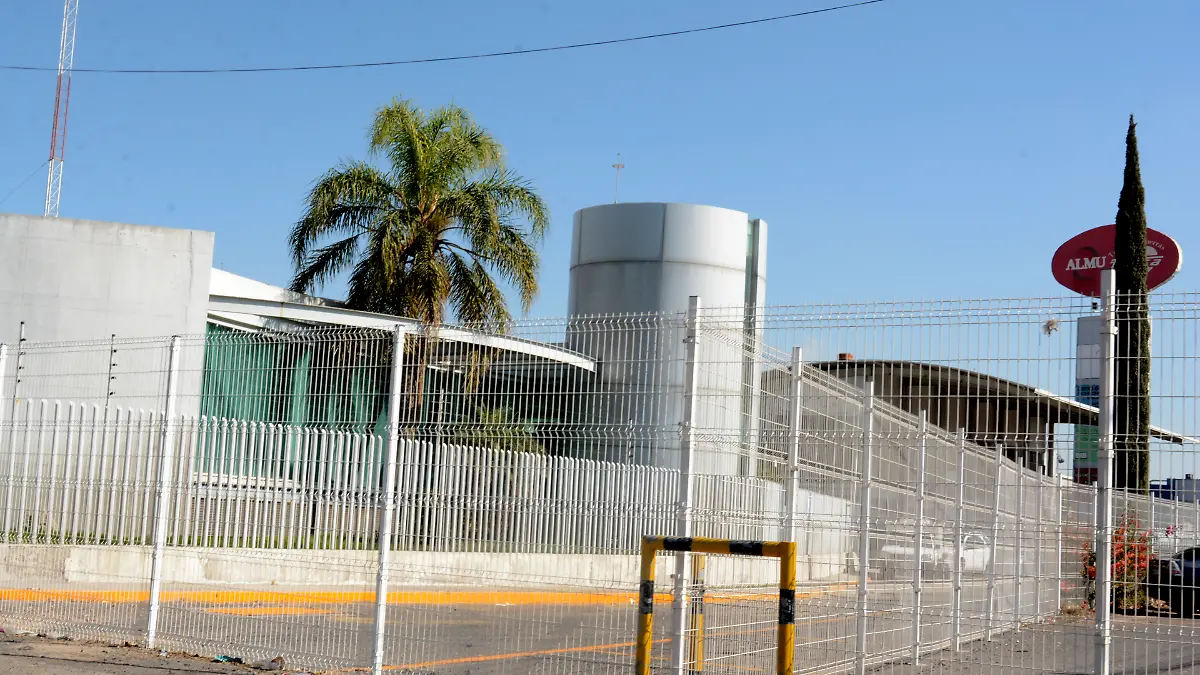 empredas (1) ok