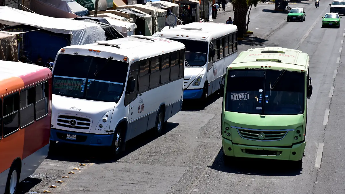 transporte (1) ok