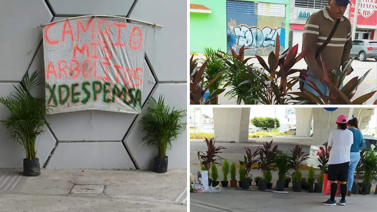 241357137_4506896656035248_2375347644160504089_n