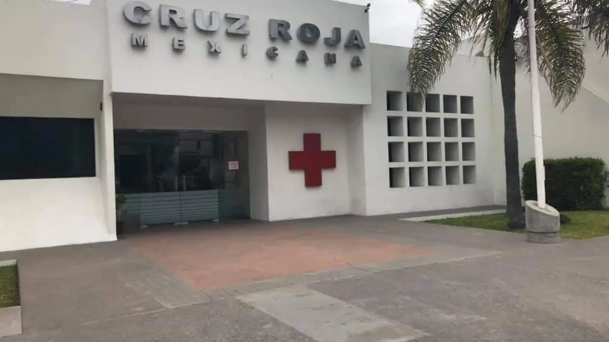 WhatsApp Image 2021-01-12 at 5.57.10 PM