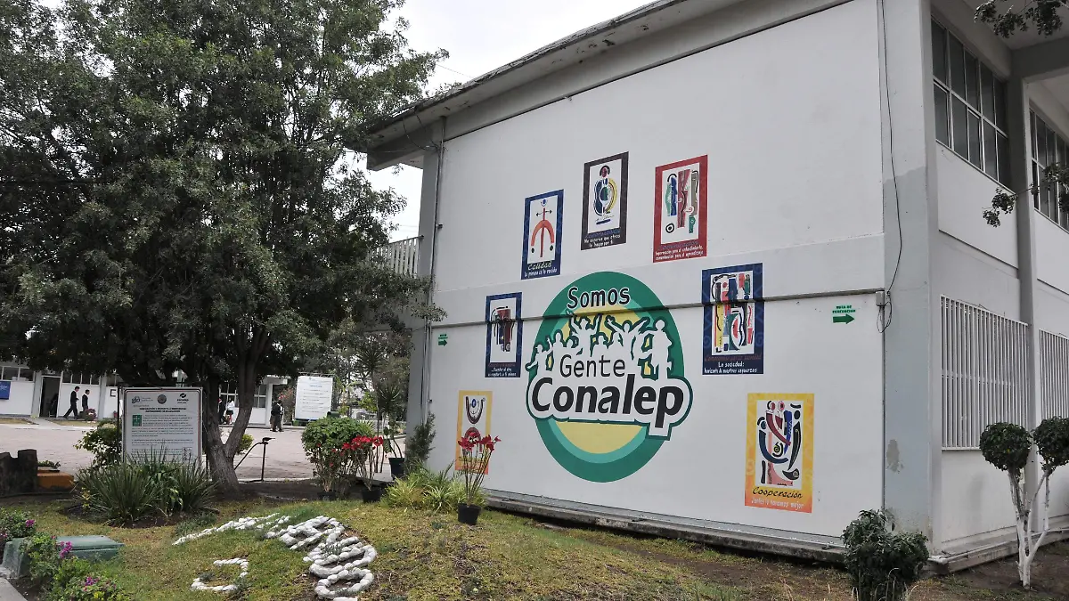 conalep (2)