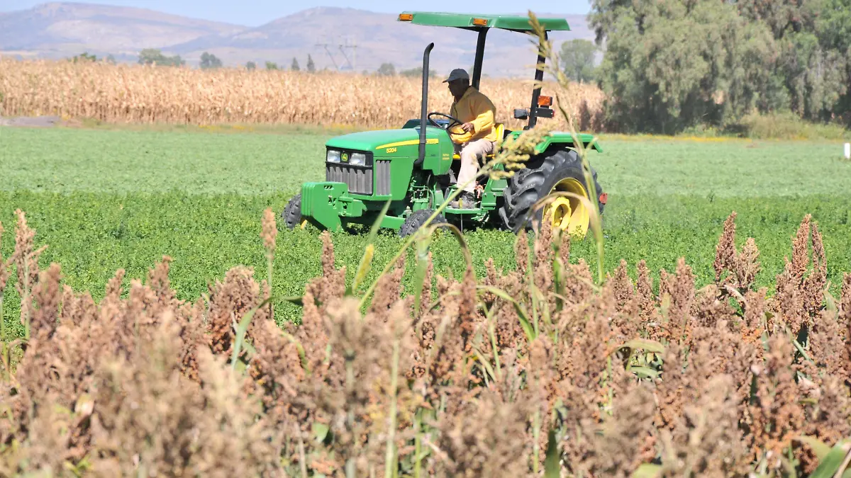 La-agroindustrial-sí