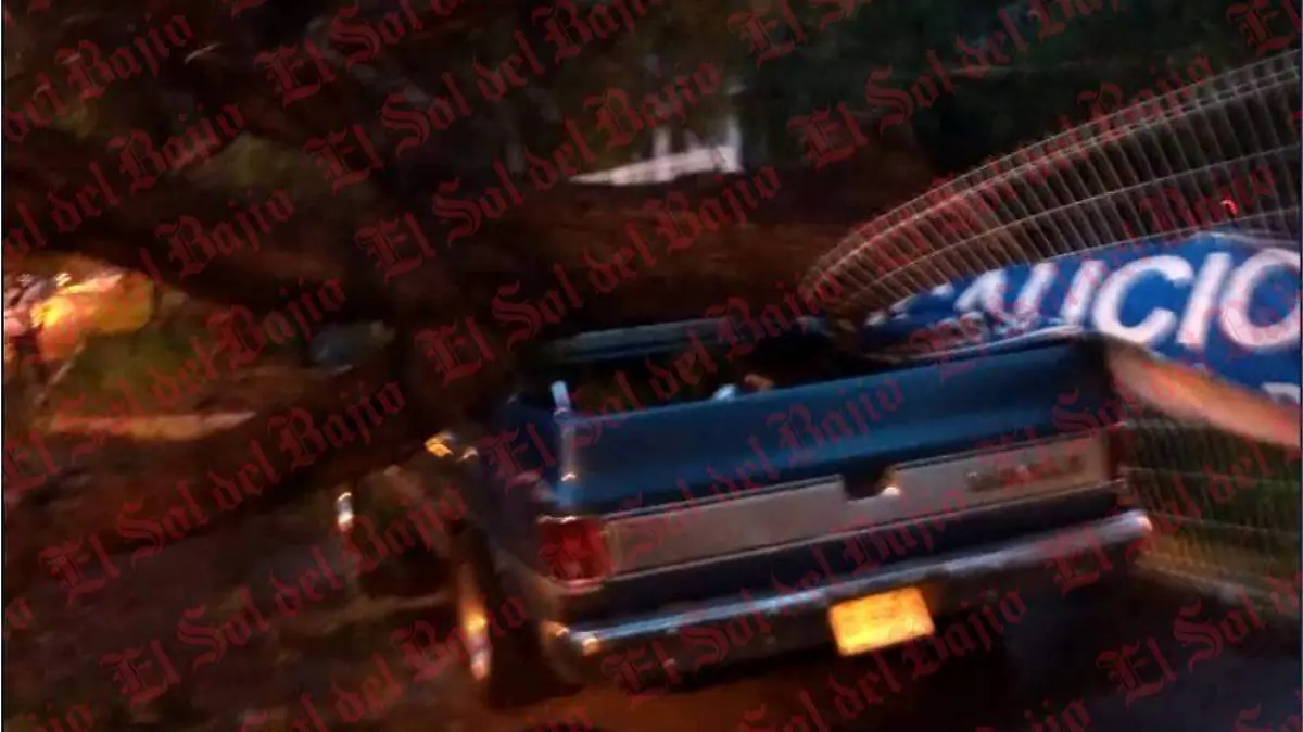 WhatsApp Image 2020-07-10 at 12.13.20 AM