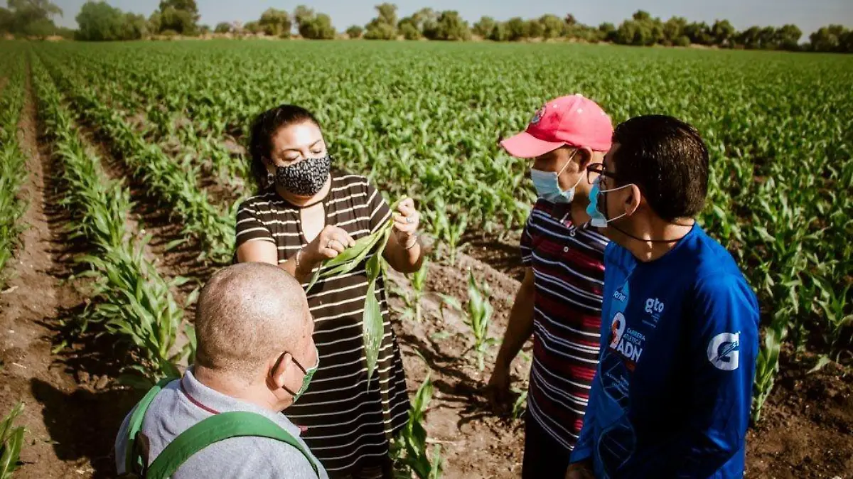Jovenes com discapacidad