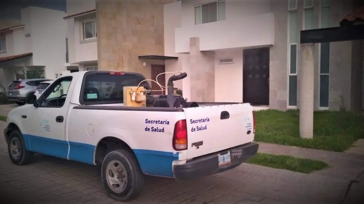 WhatsApp Image 2020-08-03 at 11.39.35 AM