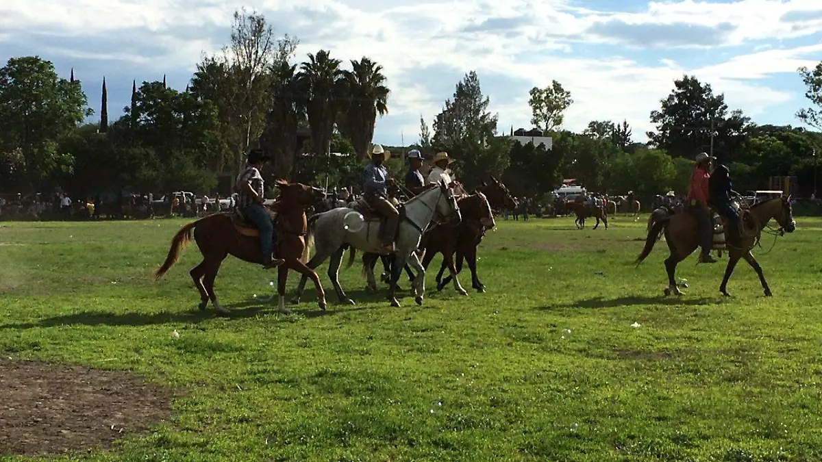 caballos