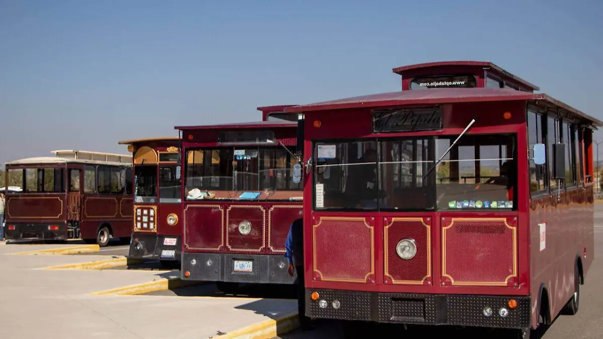 WhatsApp Image 2022-04-06 at 2.19.49 PM