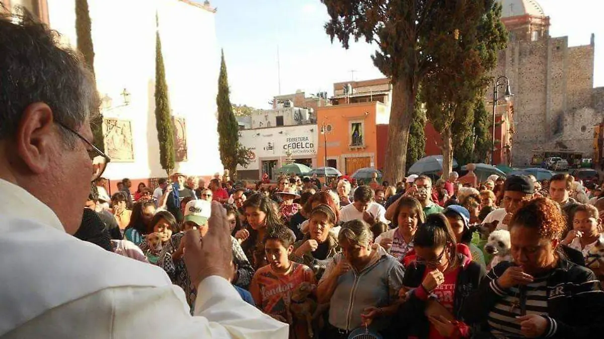 WhatsApp Image 2019-01-17 at 12.49.45 PM