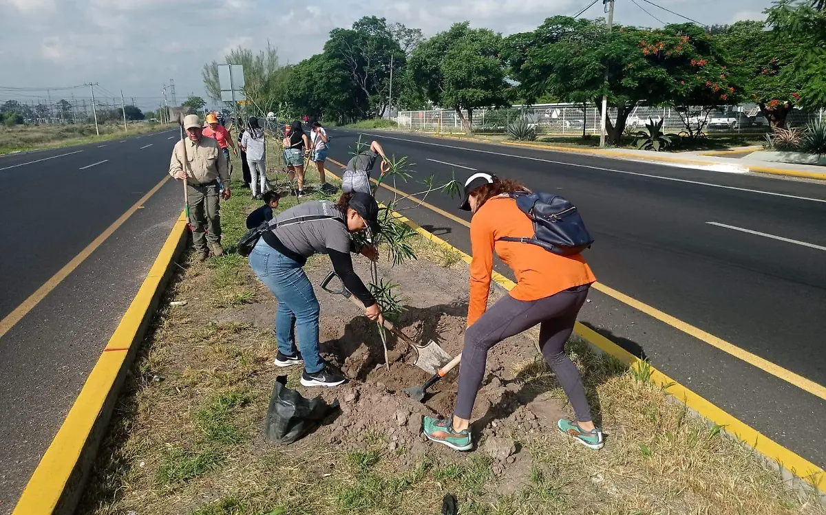 reforestacion-comonfort-1