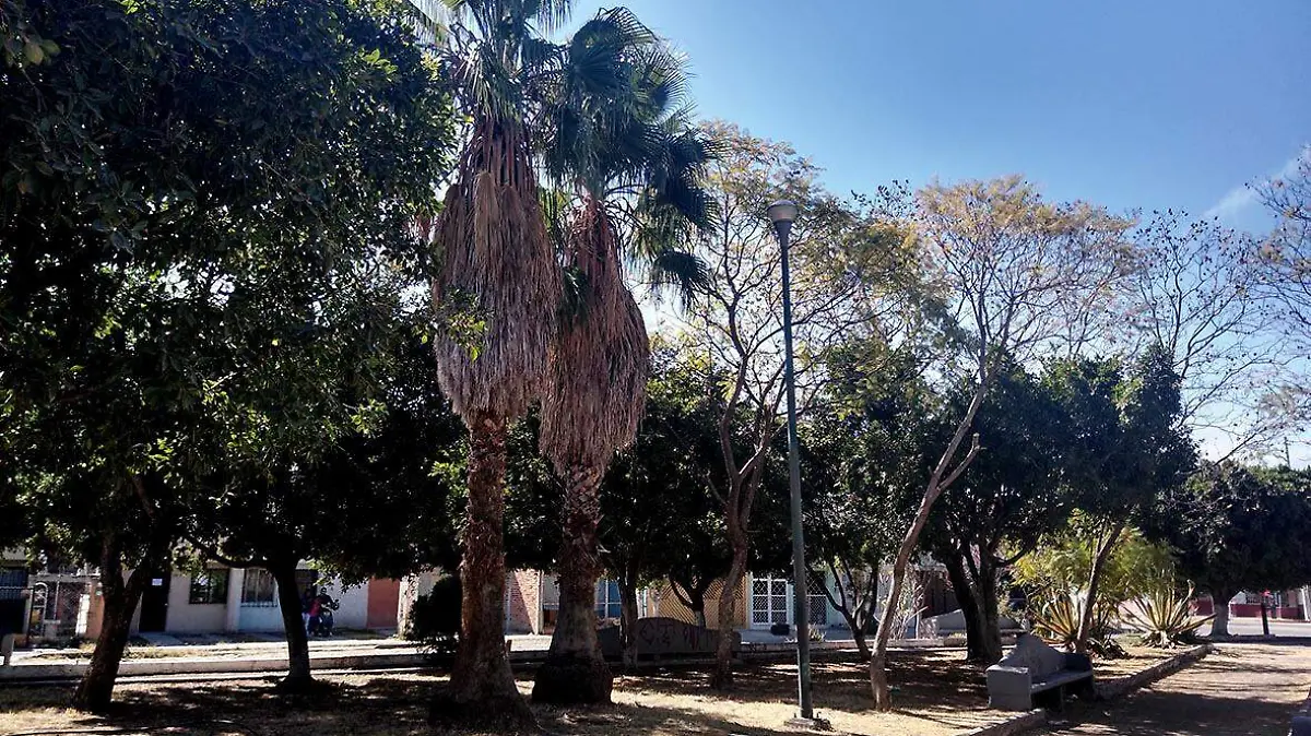 primer parque (5) ok