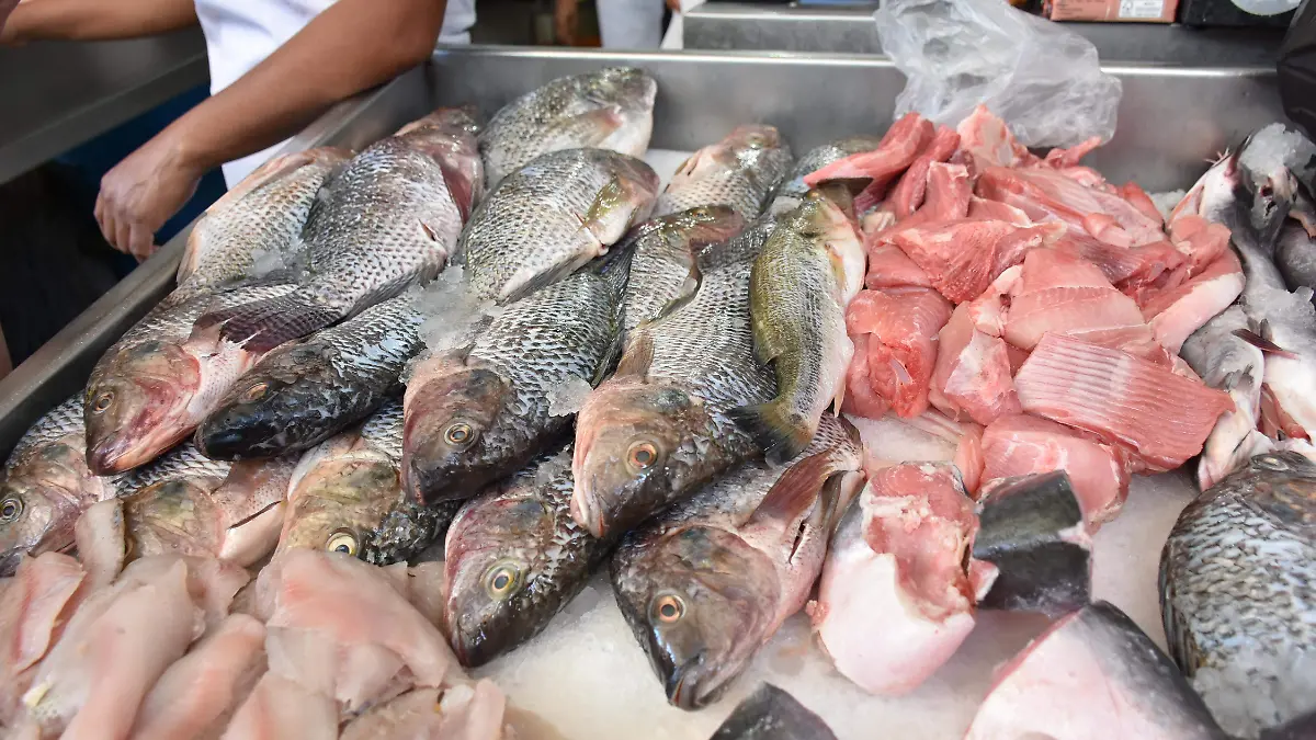 pescados y mariscos.