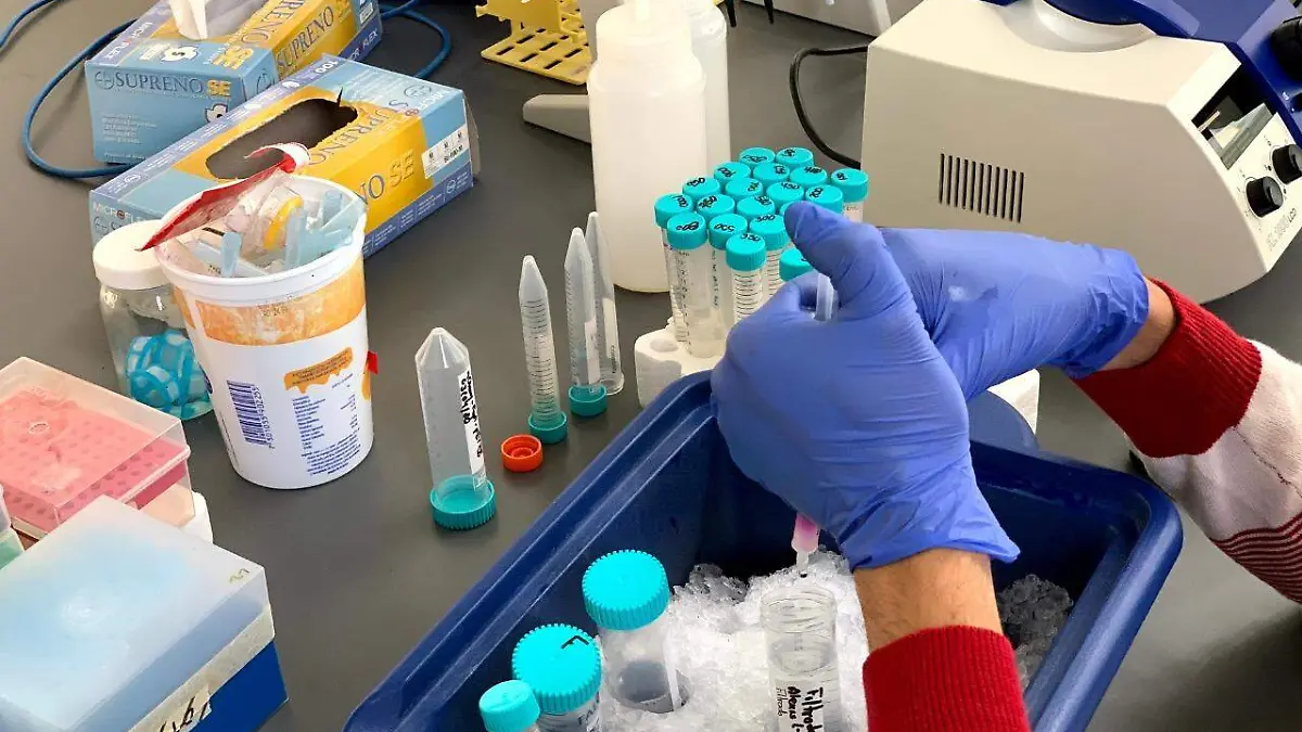 WhatsApp Image 2020-07-21 at 7.11.57 PM