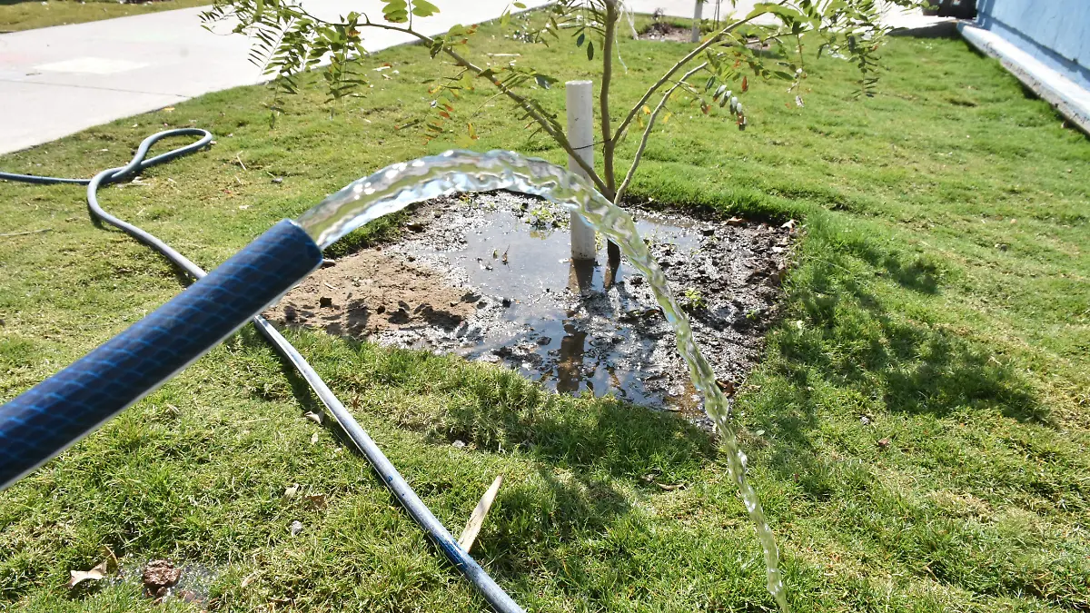 ecologia