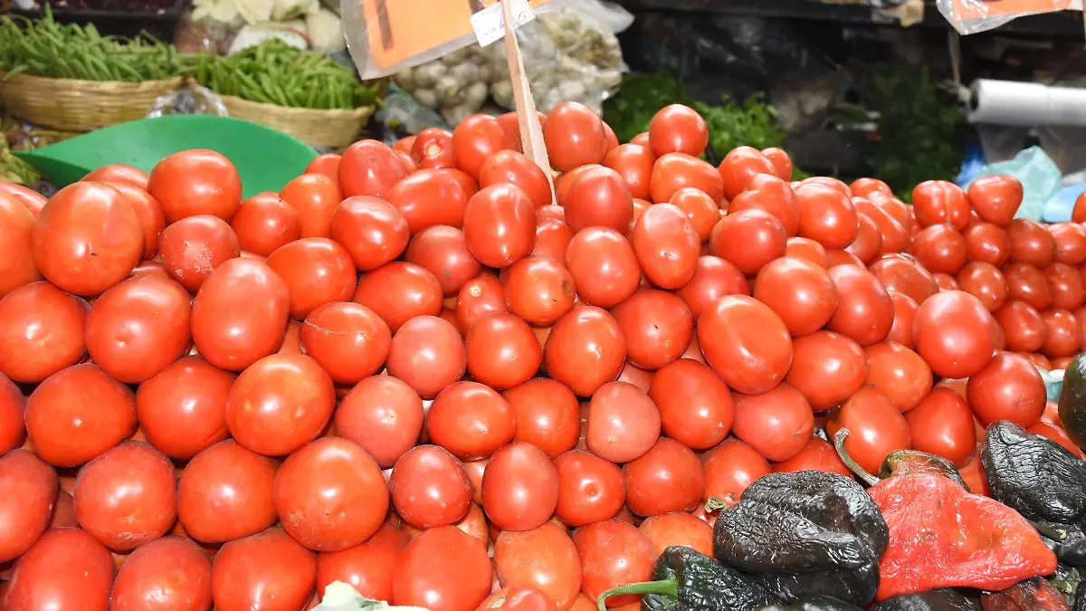VERDURAS (5)