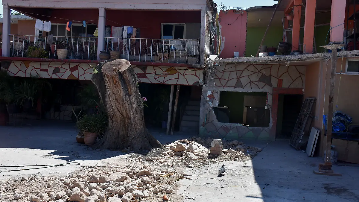 casas (1) OK