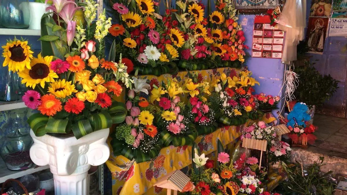 flores (7)