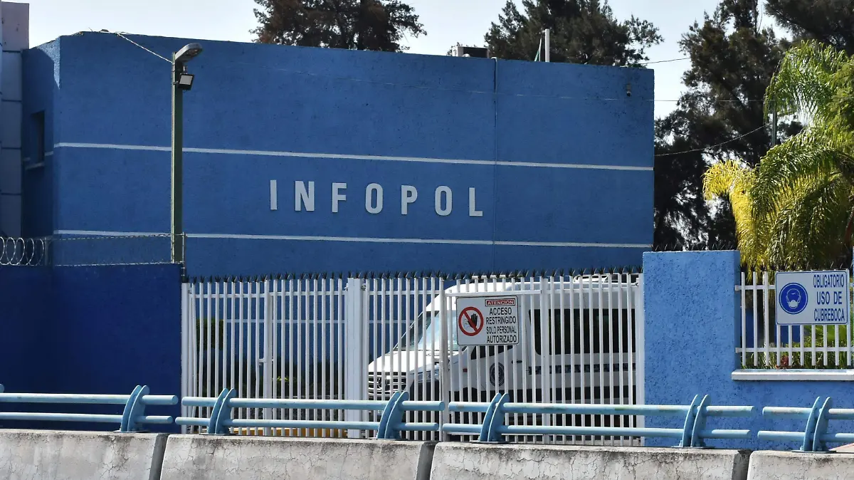 Infopol (3) ok