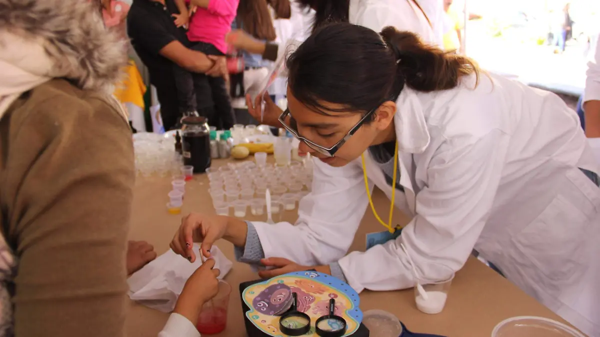 veranos de la ciencia-