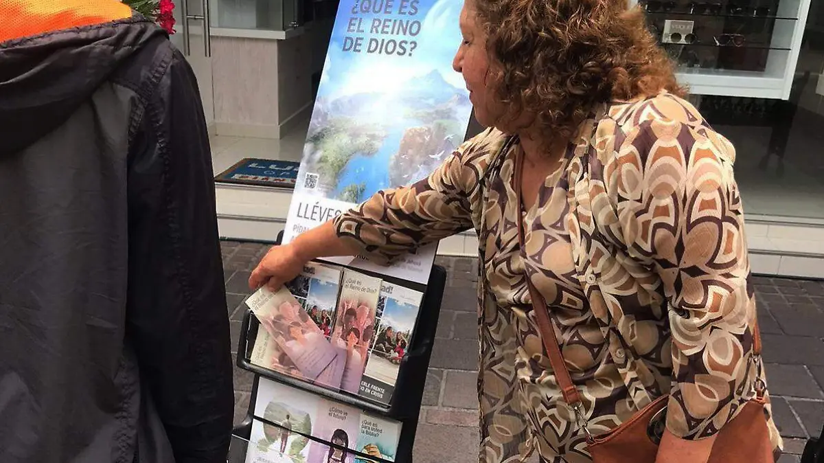 La-campaña-consiste 