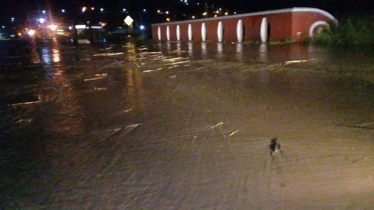 WhatsApp Image 2021-09-30 at 10.27.31 AM (1)