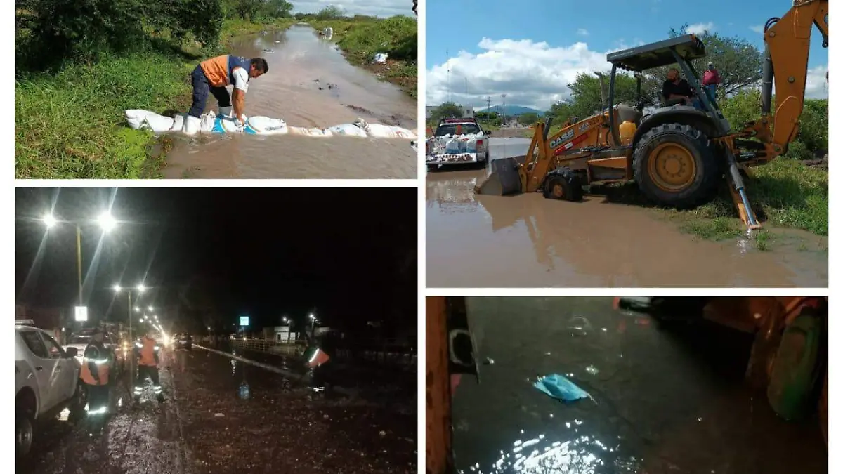 WhatsApp Image 2021-10-03 at 4.17.49 PM