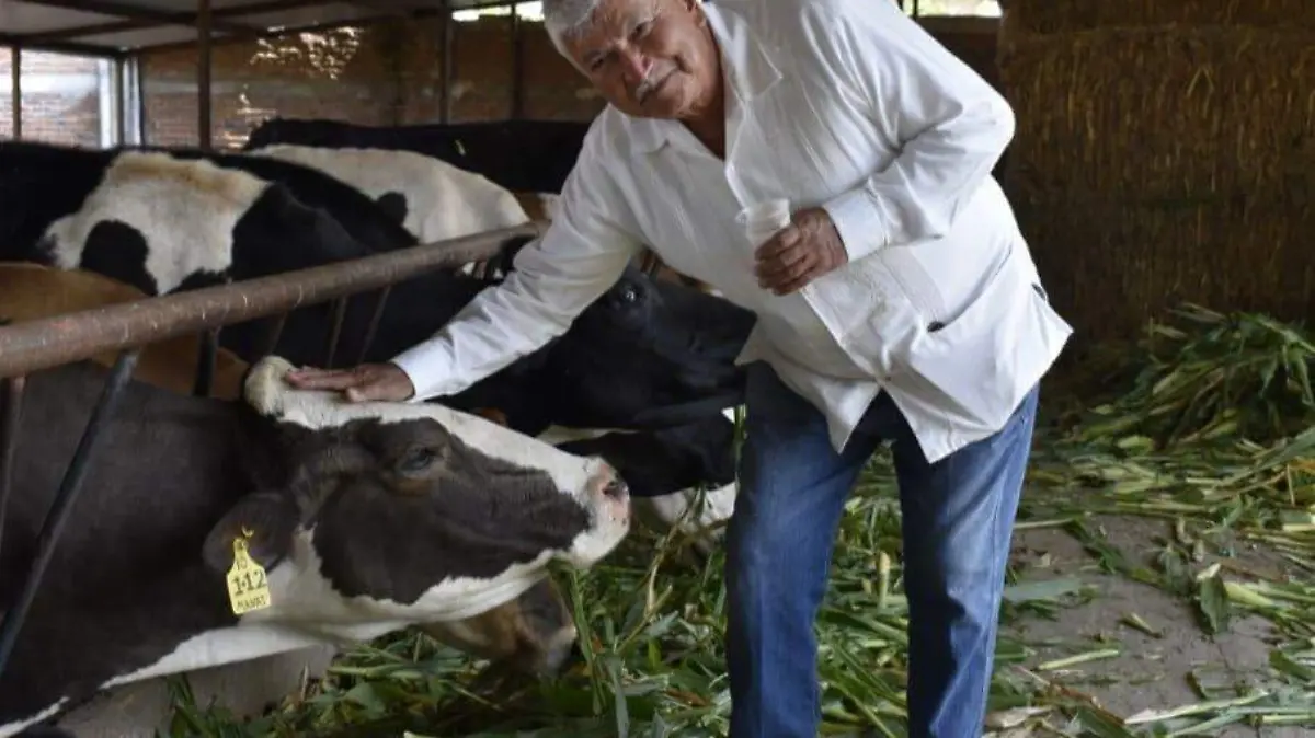 inceminacion-vacuna-1