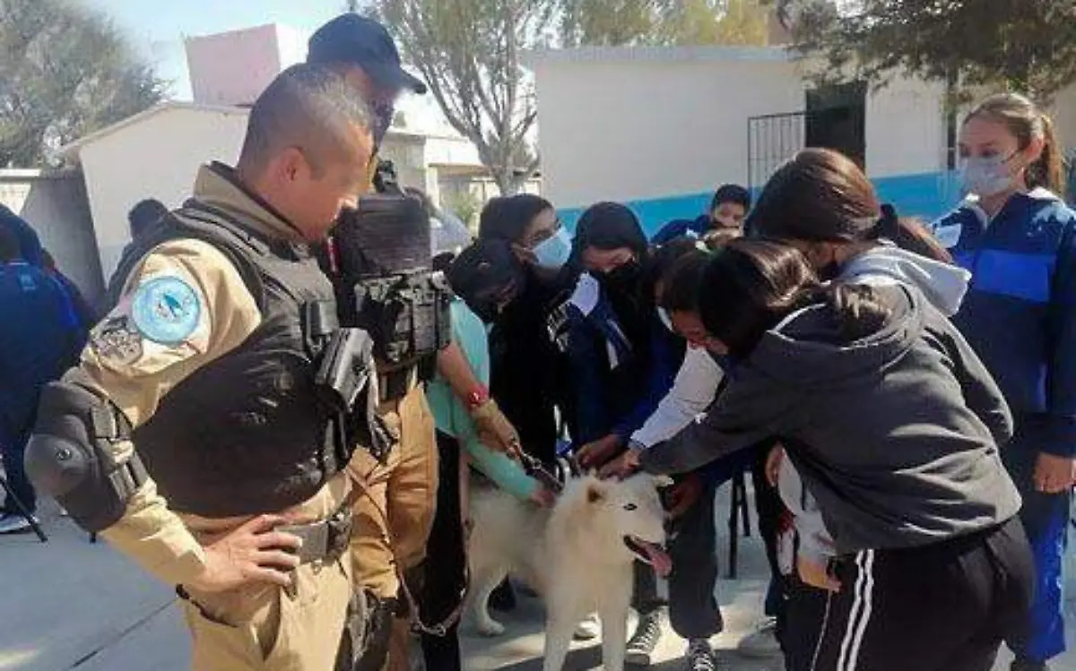 unidadn-canina-corta-1