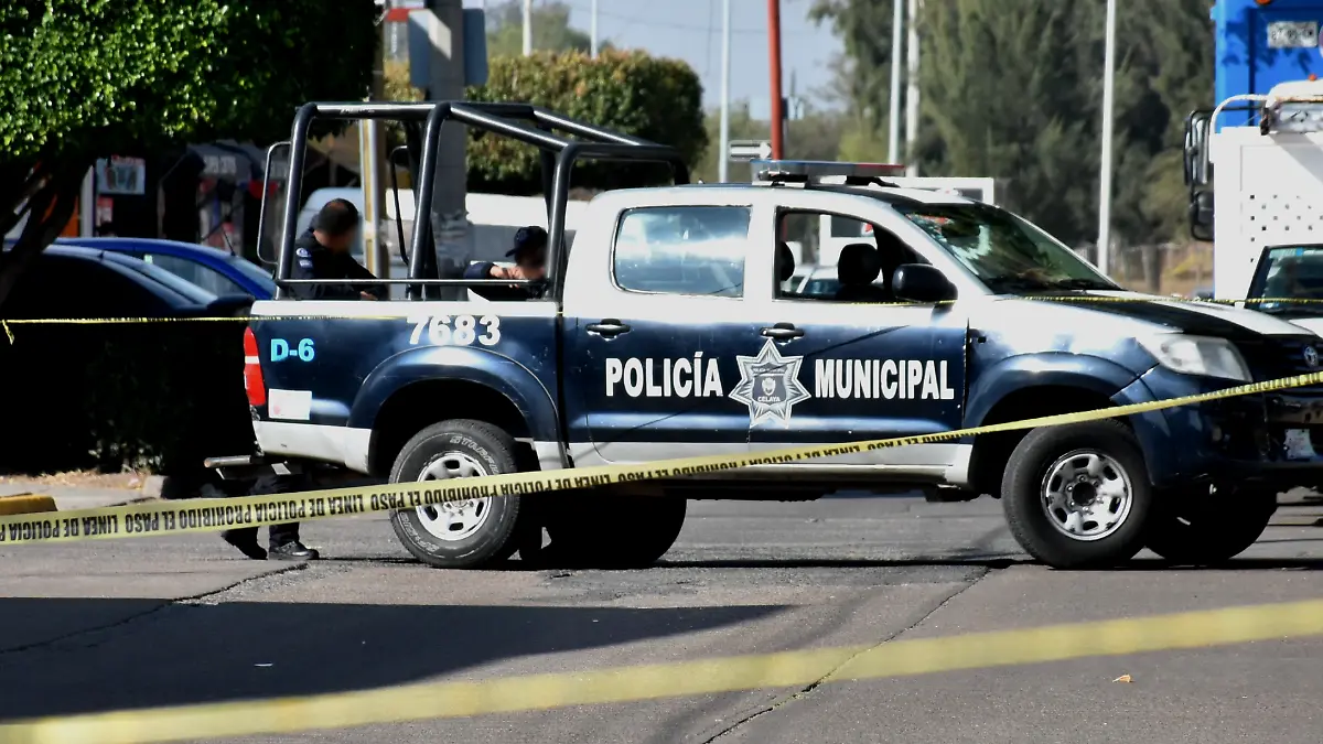 Policias (2)