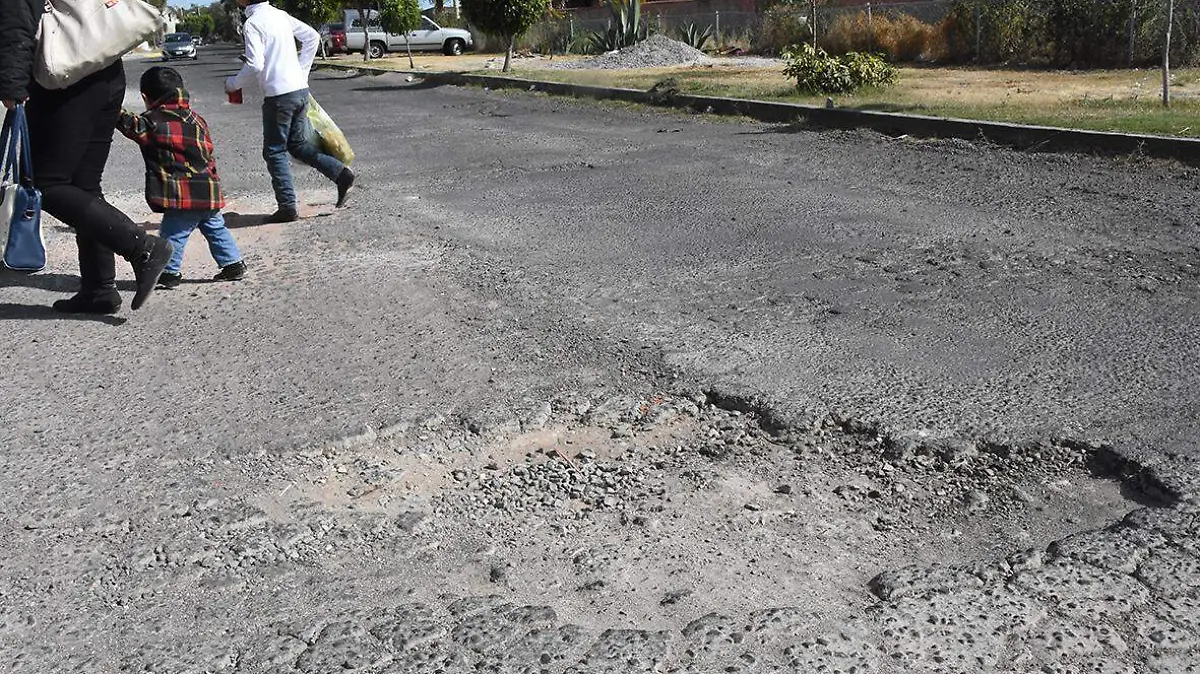 baches (3)