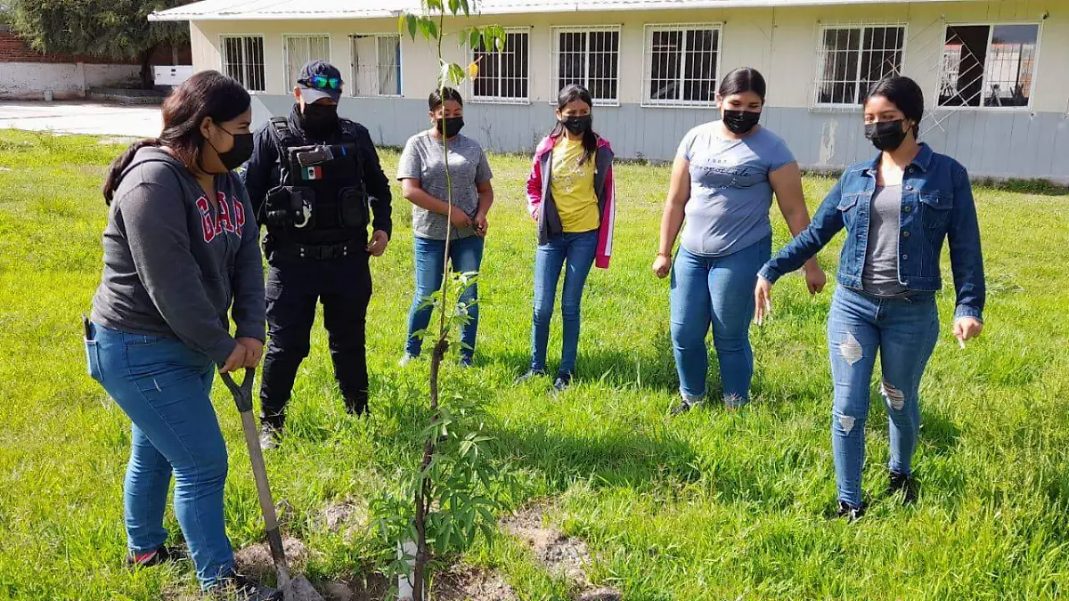 Reforestación-de-planteles