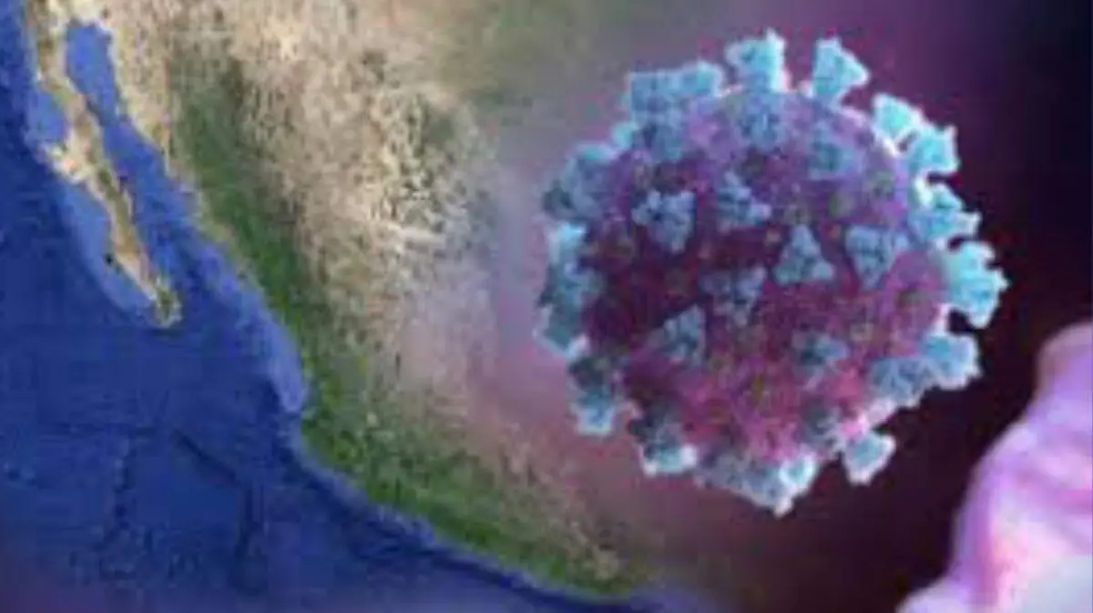 WhatsApp Image 2020-04-07 at 8.19.08 PM