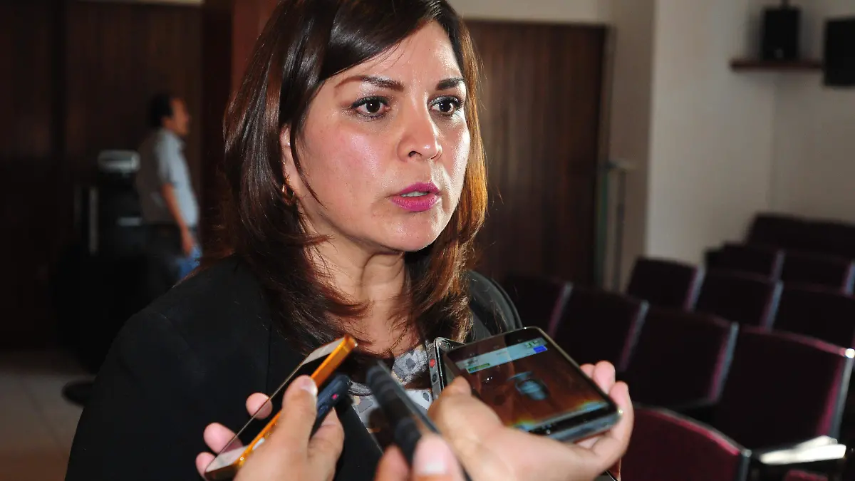 secion de ayuntamiento (16)