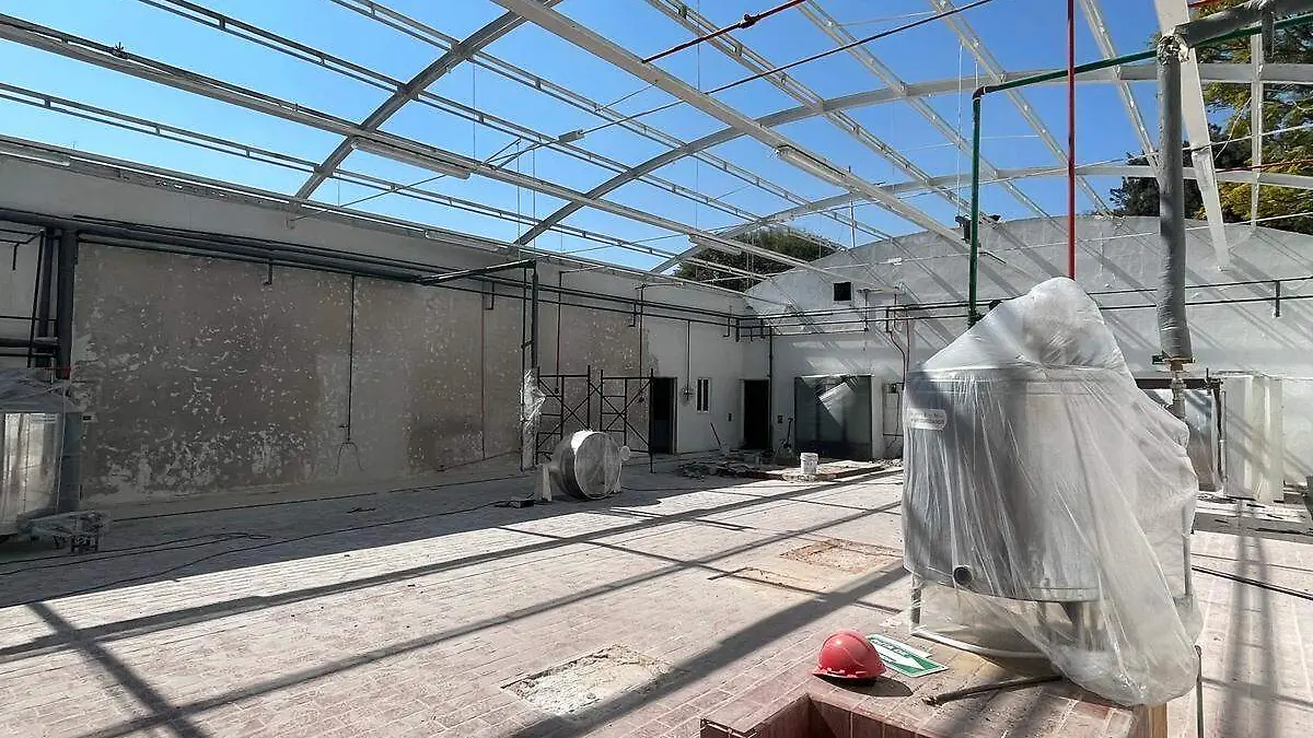 Extensión-del-taller